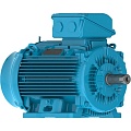 Электродвигатель W22 GOST 355M/L 6P 250кВт